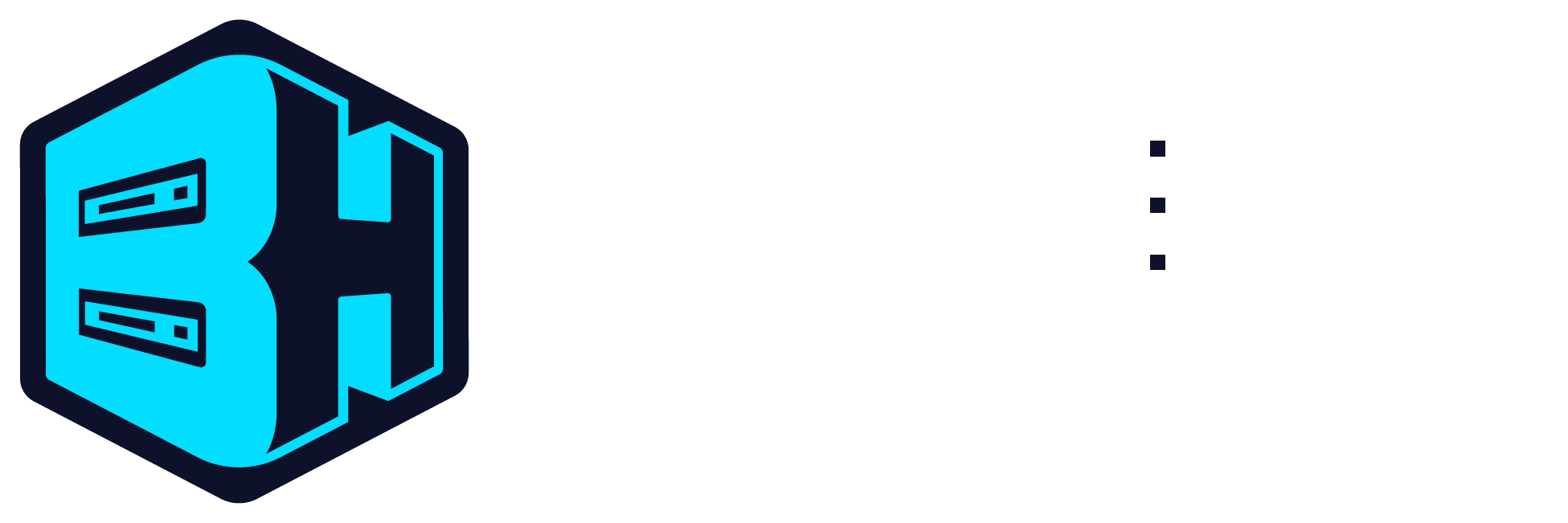 Bisect Hosting logo - recommended provider